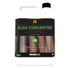 Alga concentré